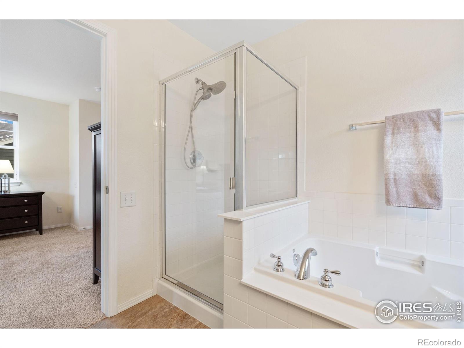 MLS Image #17 for 2626  autumn harvest way,fort collins, Colorado