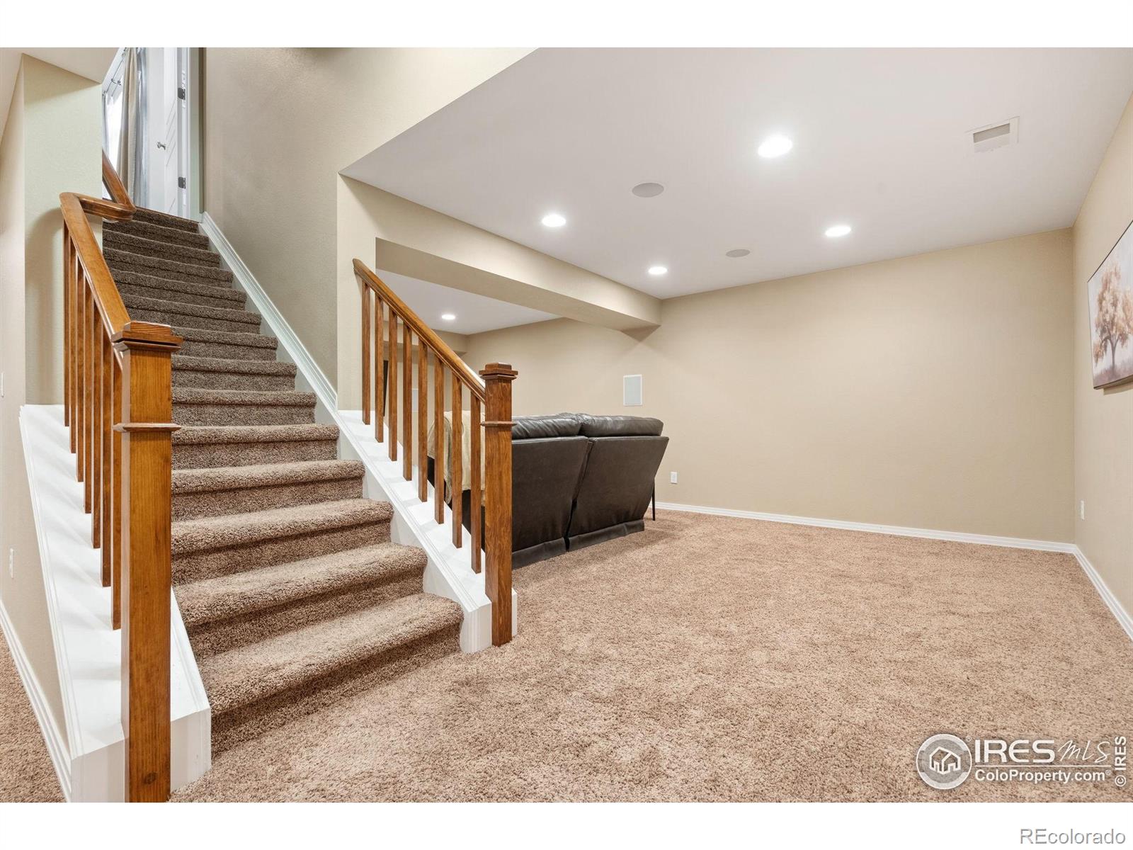 MLS Image #24 for 2626  autumn harvest way,fort collins, Colorado