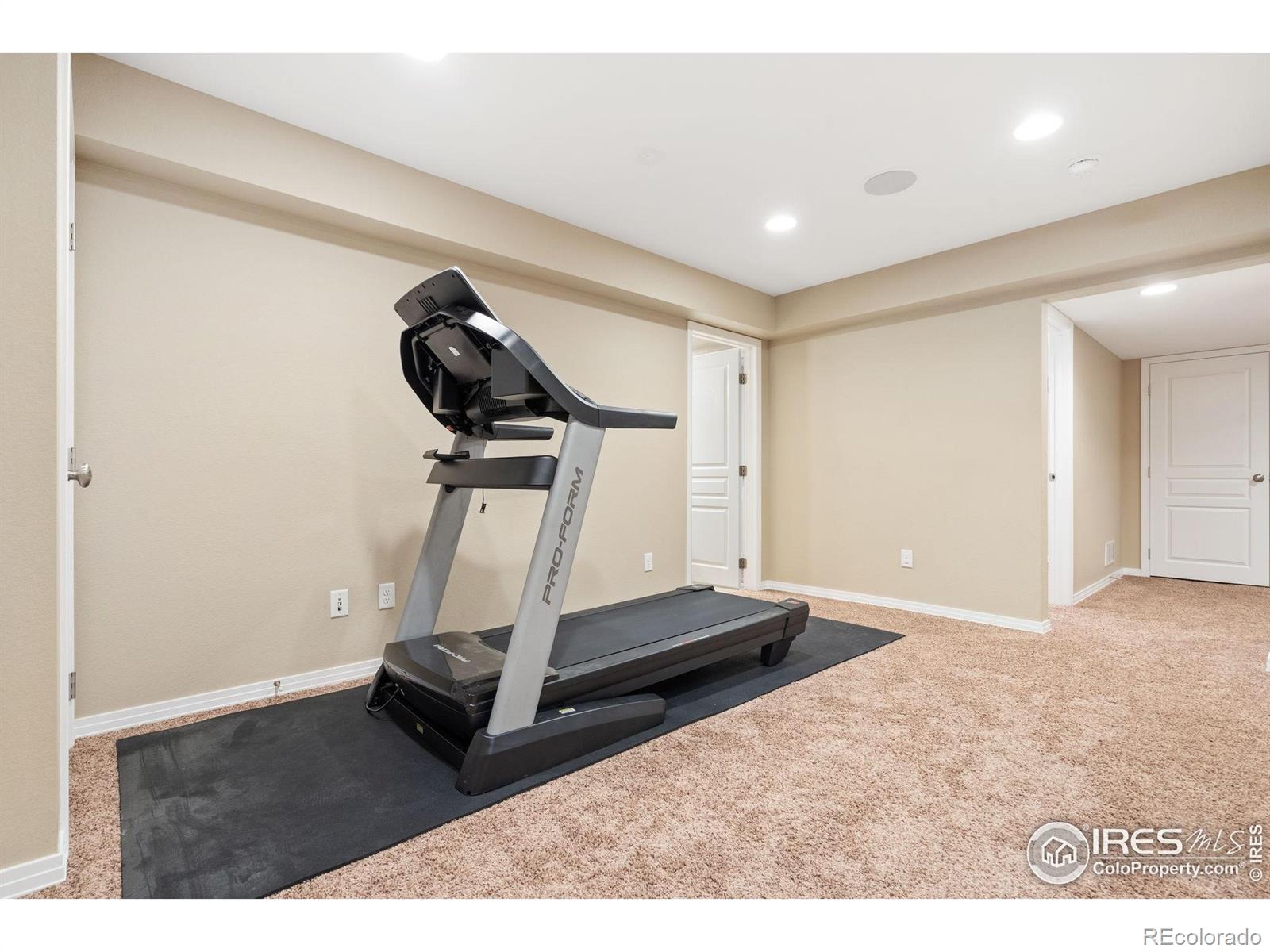 MLS Image #27 for 2626  autumn harvest way,fort collins, Colorado