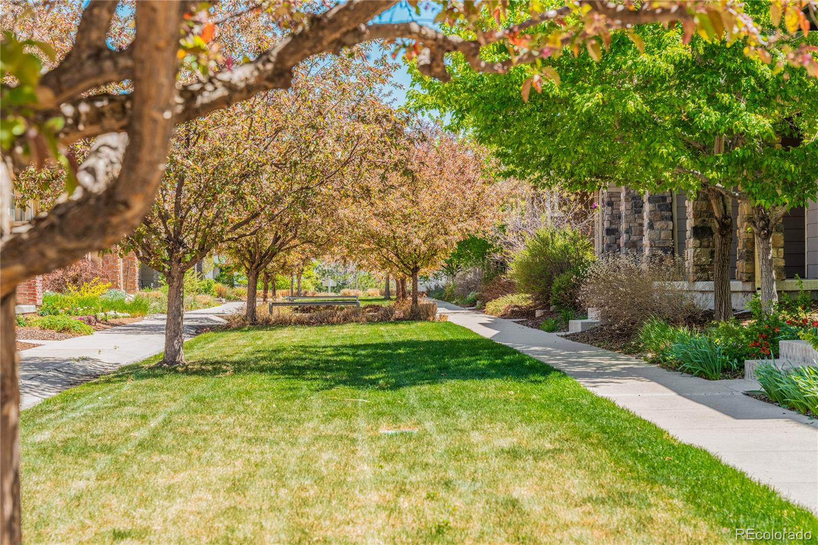 MLS Image #26 for 3386  valentia street,denver, Colorado