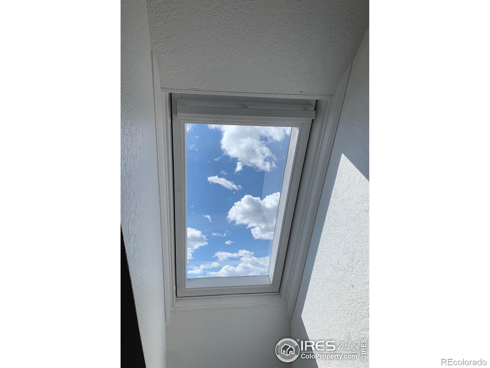 MLS Image #14 for 2201  pearl street,boulder, Colorado