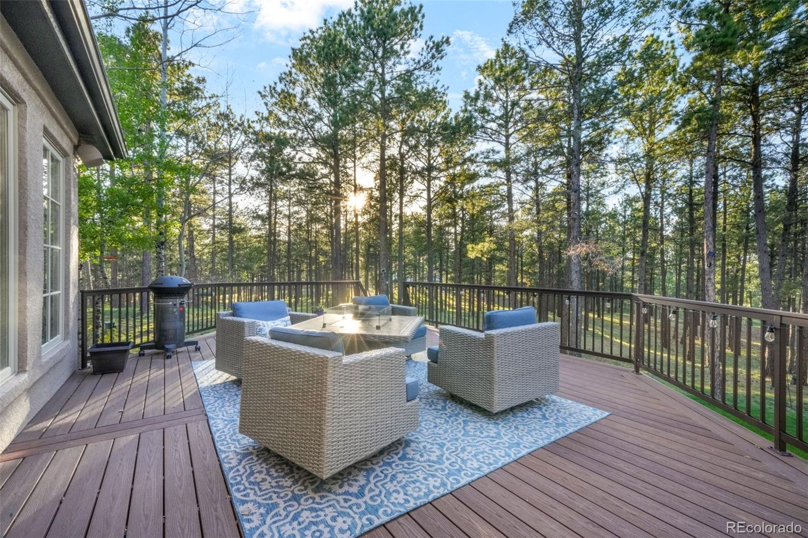 MLS Image #13 for 16092  waving branch way,colorado springs, Colorado