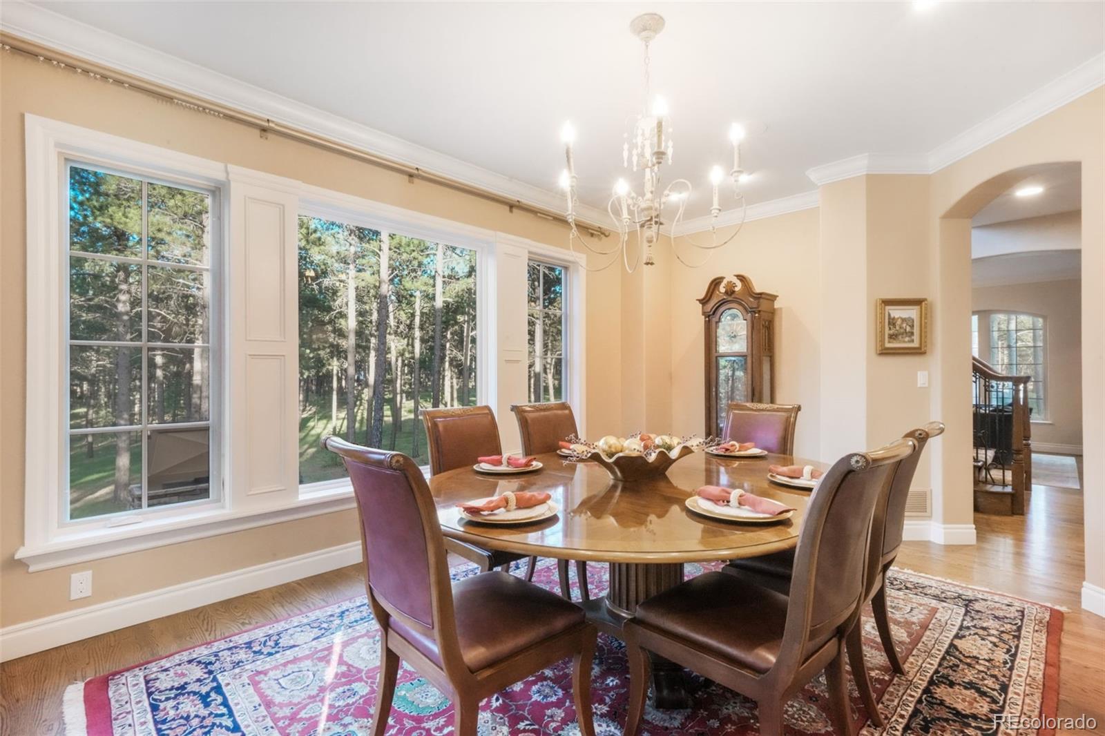 MLS Image #17 for 16092  waving branch way,colorado springs, Colorado