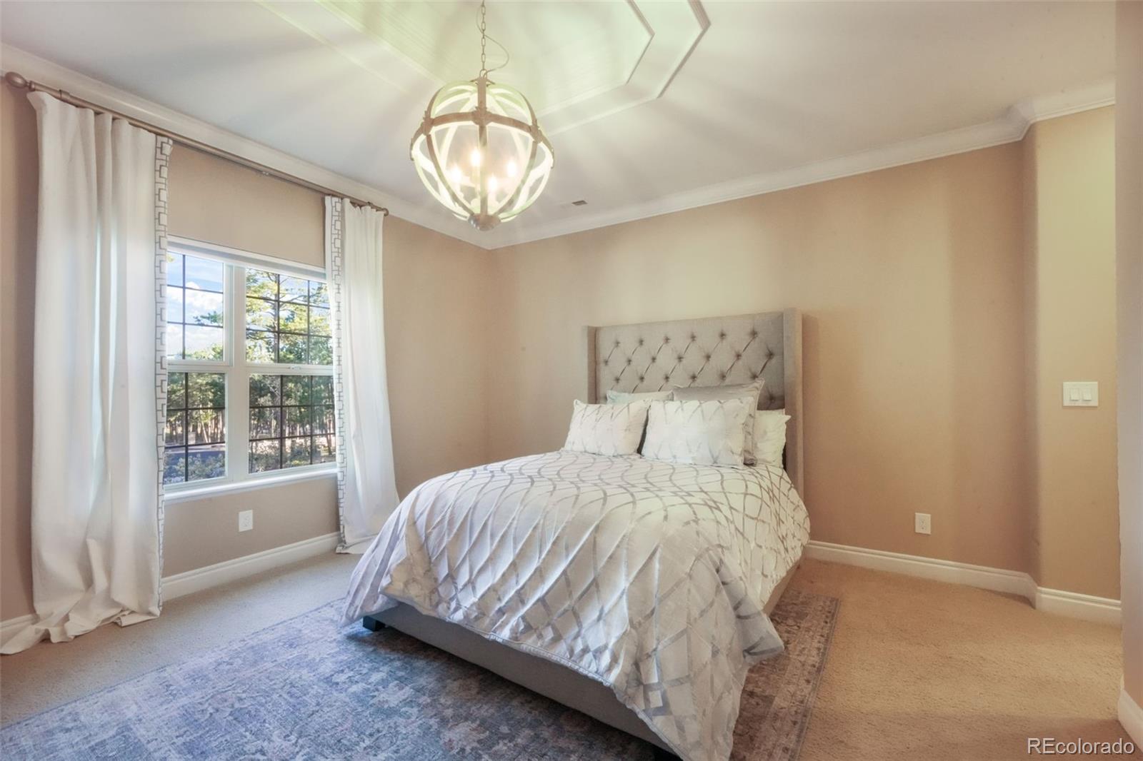 MLS Image #30 for 16092  waving branch way,colorado springs, Colorado