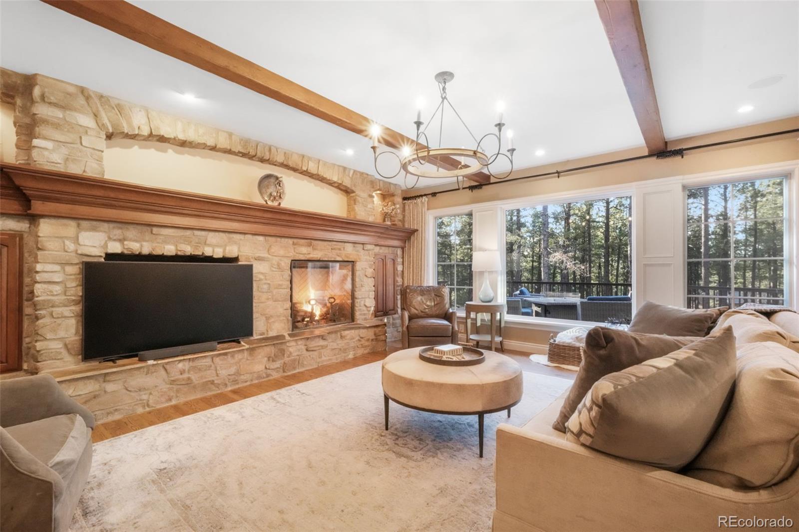 MLS Image #9 for 16092  waving branch way,colorado springs, Colorado
