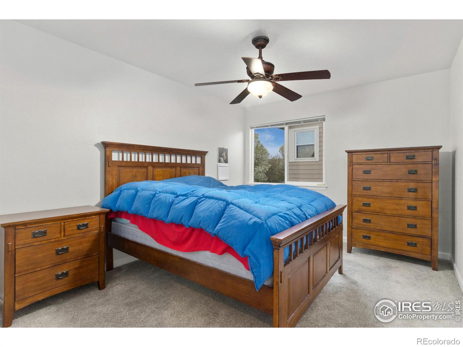 MLS Image #14 for 1403  curtiss court,fort collins, Colorado