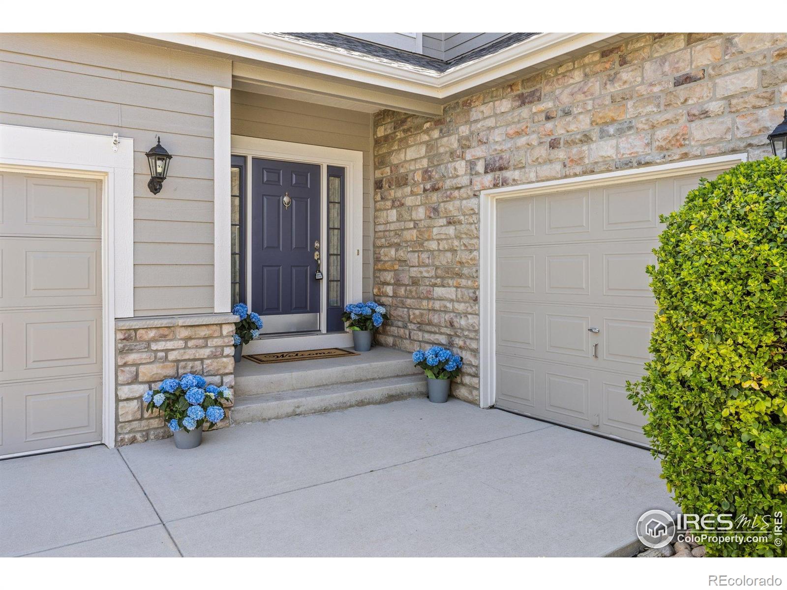MLS Image #3 for 11722  elmer linn drive,longmont, Colorado