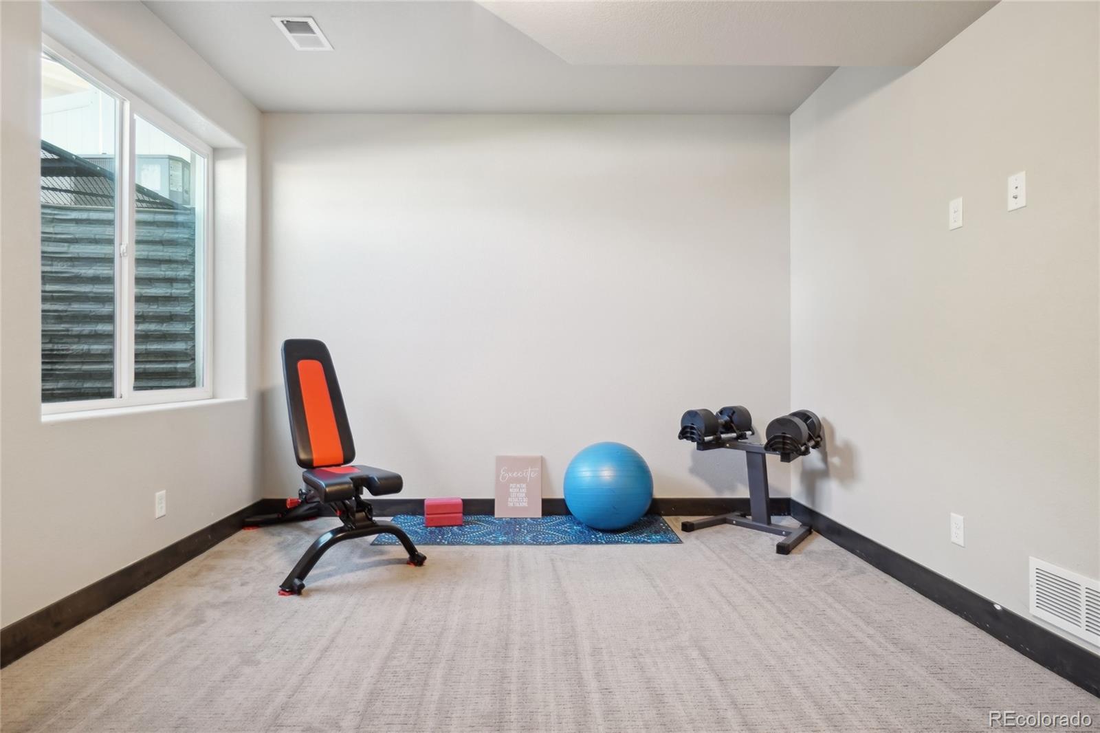 MLS Image #31 for 1893  holloway drive,windsor, Colorado