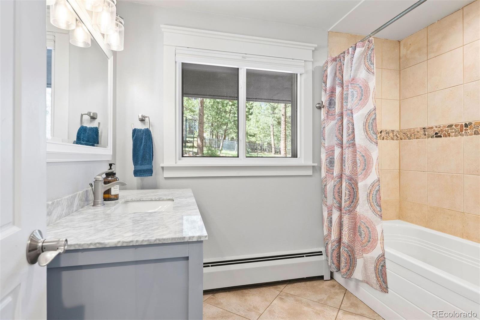 MLS Image #22 for 2976  hiwan drive,evergreen, Colorado
