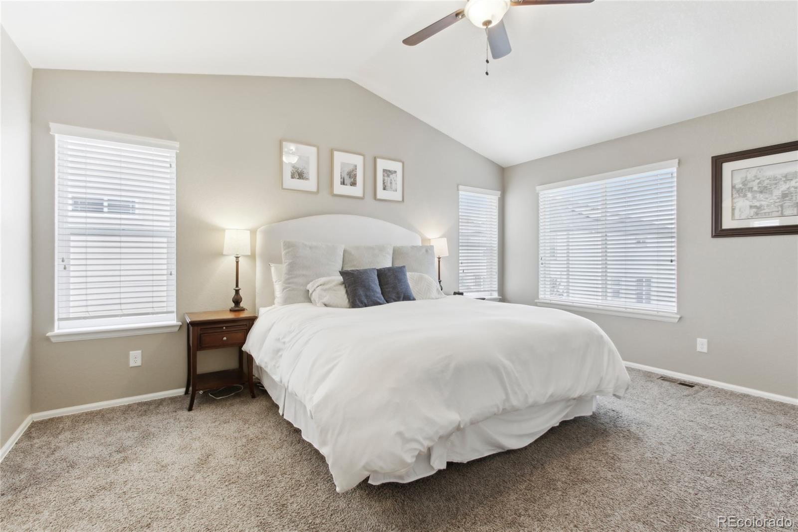 MLS Image #17 for 60  stewart way,erie, Colorado
