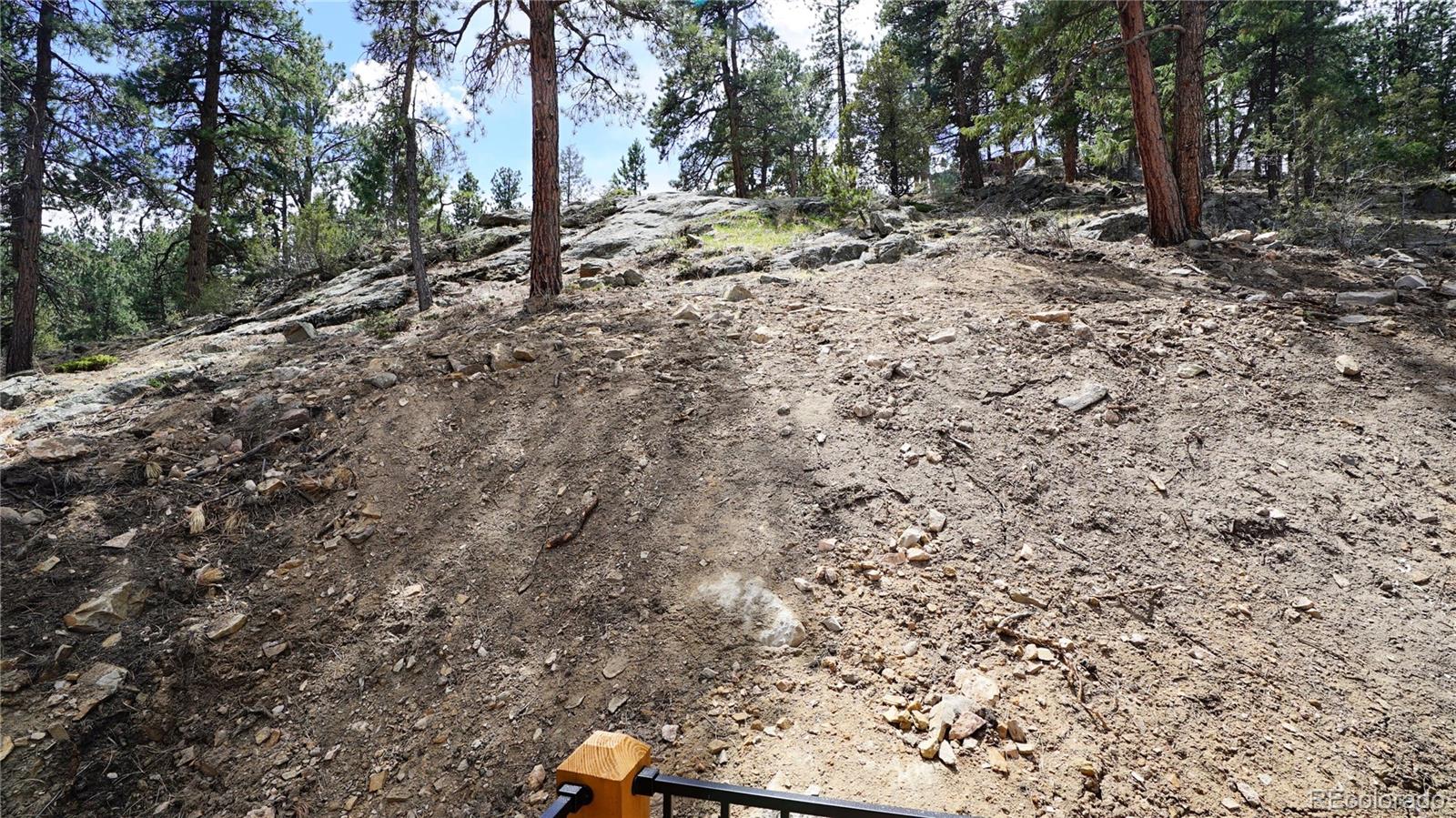 MLS Image #14 for 325  bob cat trail,bailey, Colorado