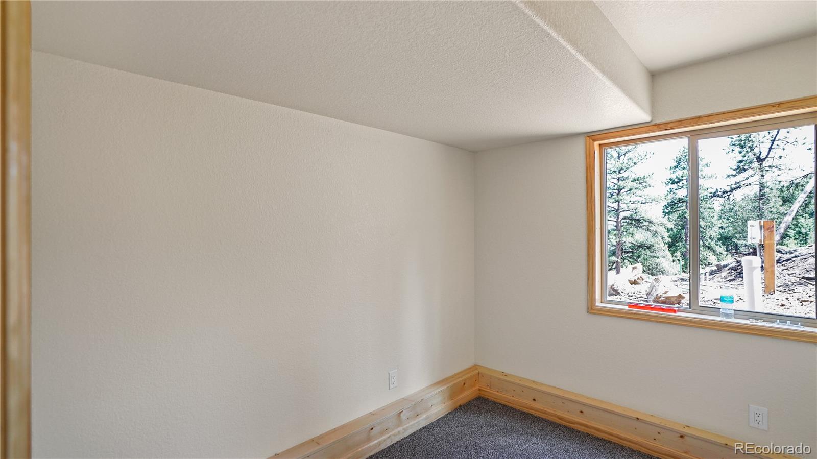 MLS Image #15 for 325  bob cat trail,bailey, Colorado