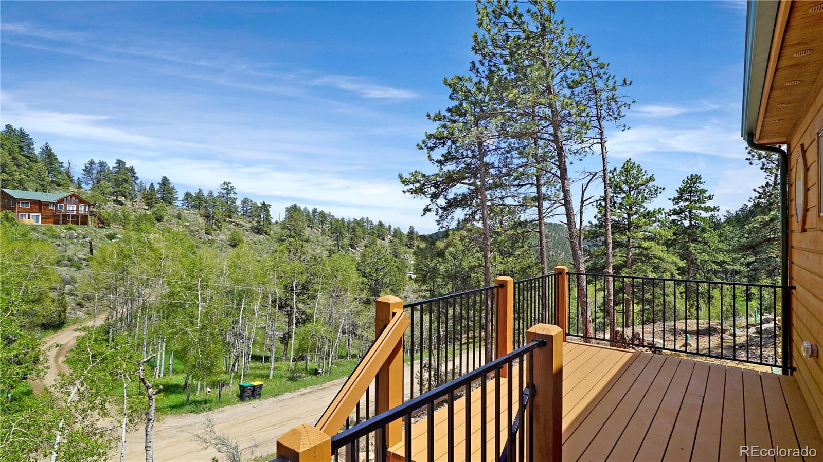 MLS Image #19 for 325  bob cat trail,bailey, Colorado