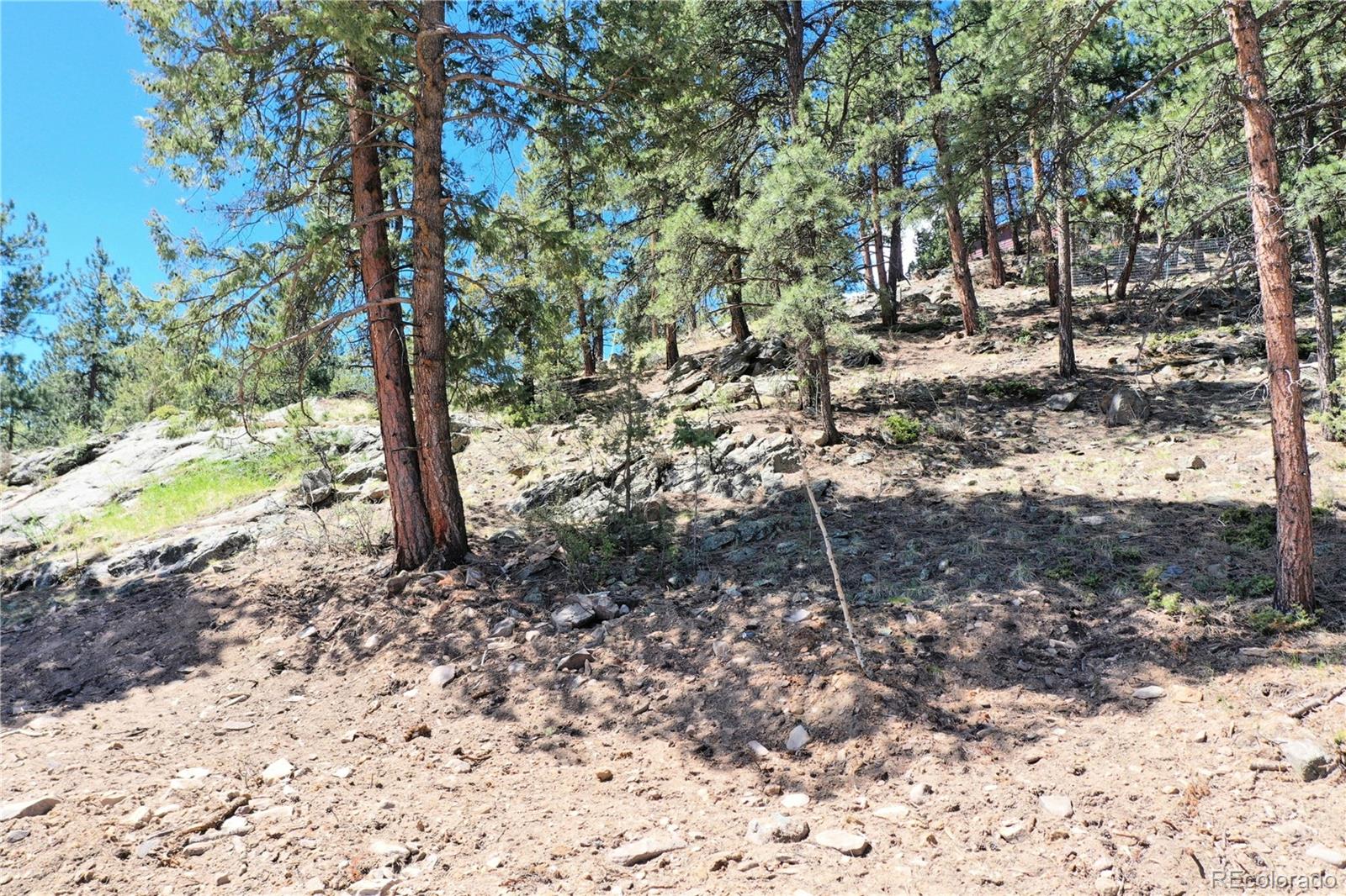 MLS Image #21 for 325  bob cat trail,bailey, Colorado