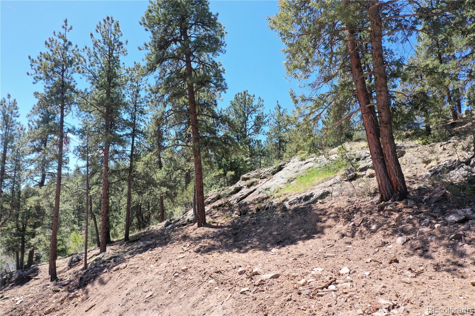 MLS Image #22 for 325  bob cat trail,bailey, Colorado