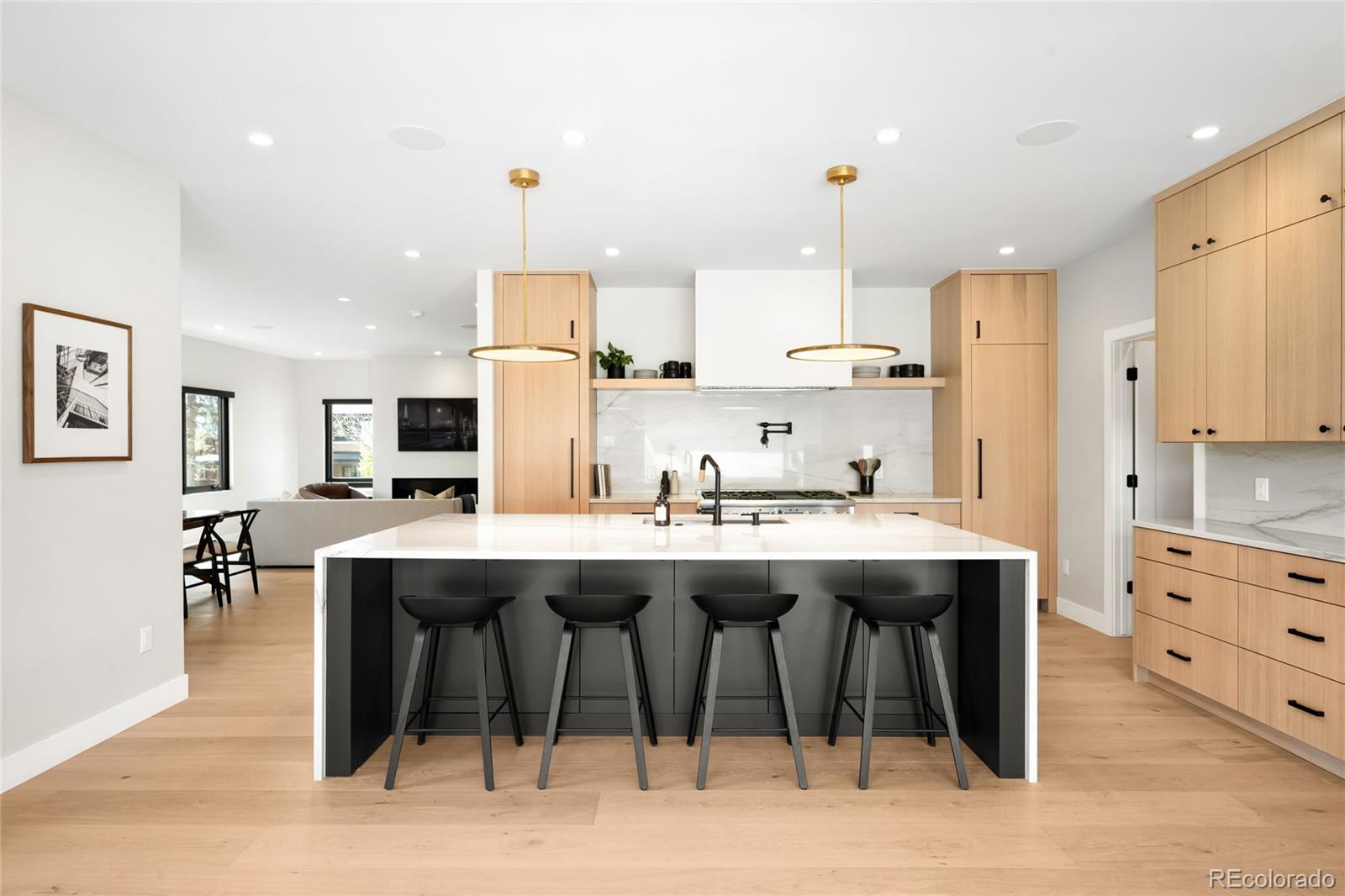 MLS Image #12 for 1462 s vine street,denver, Colorado