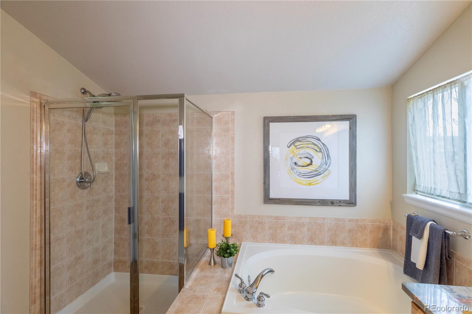 MLS Image #15 for 9525 w victoria drive,littleton, Colorado