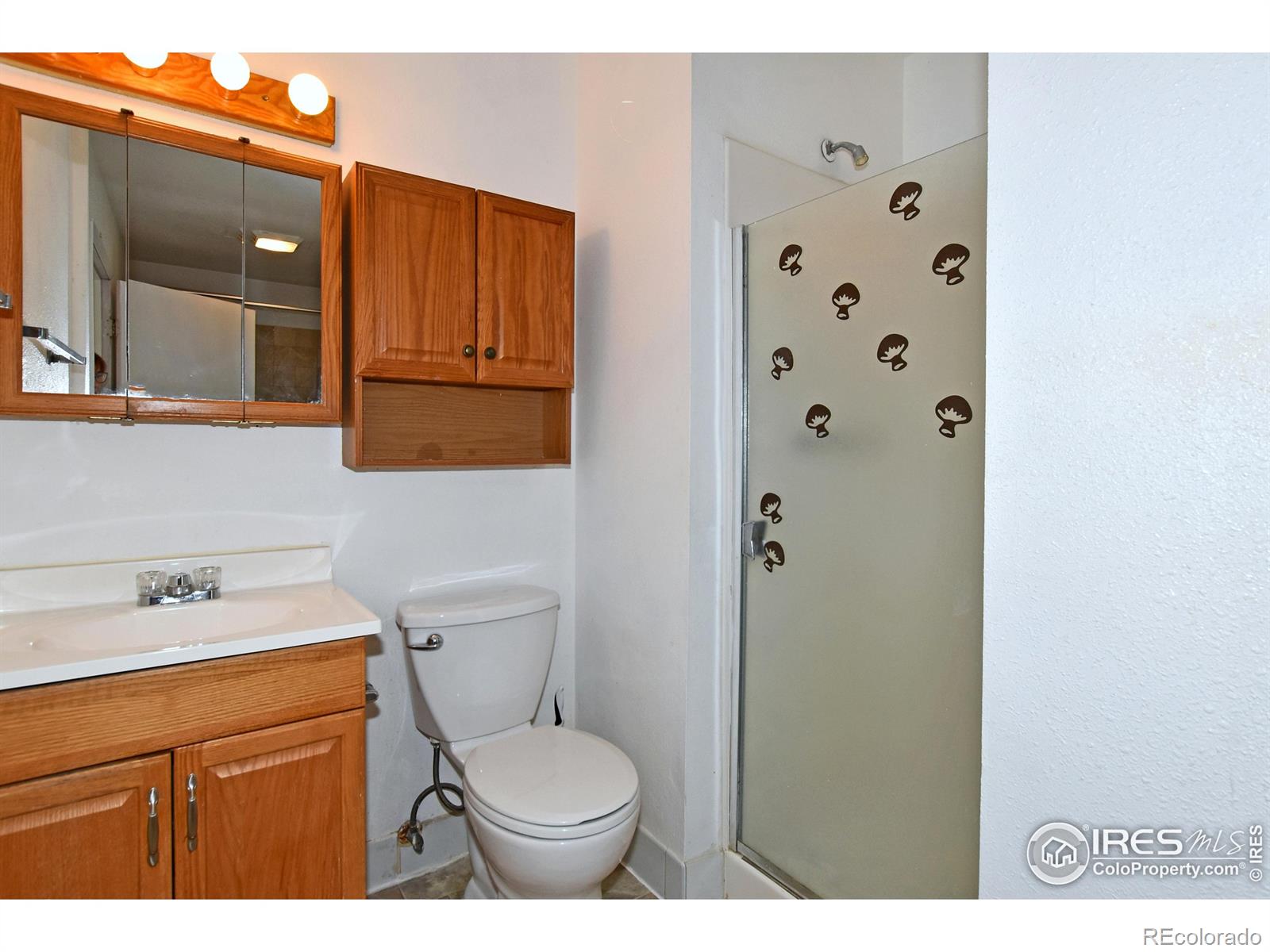 MLS Image #27 for 2171  31st street,greeley, Colorado