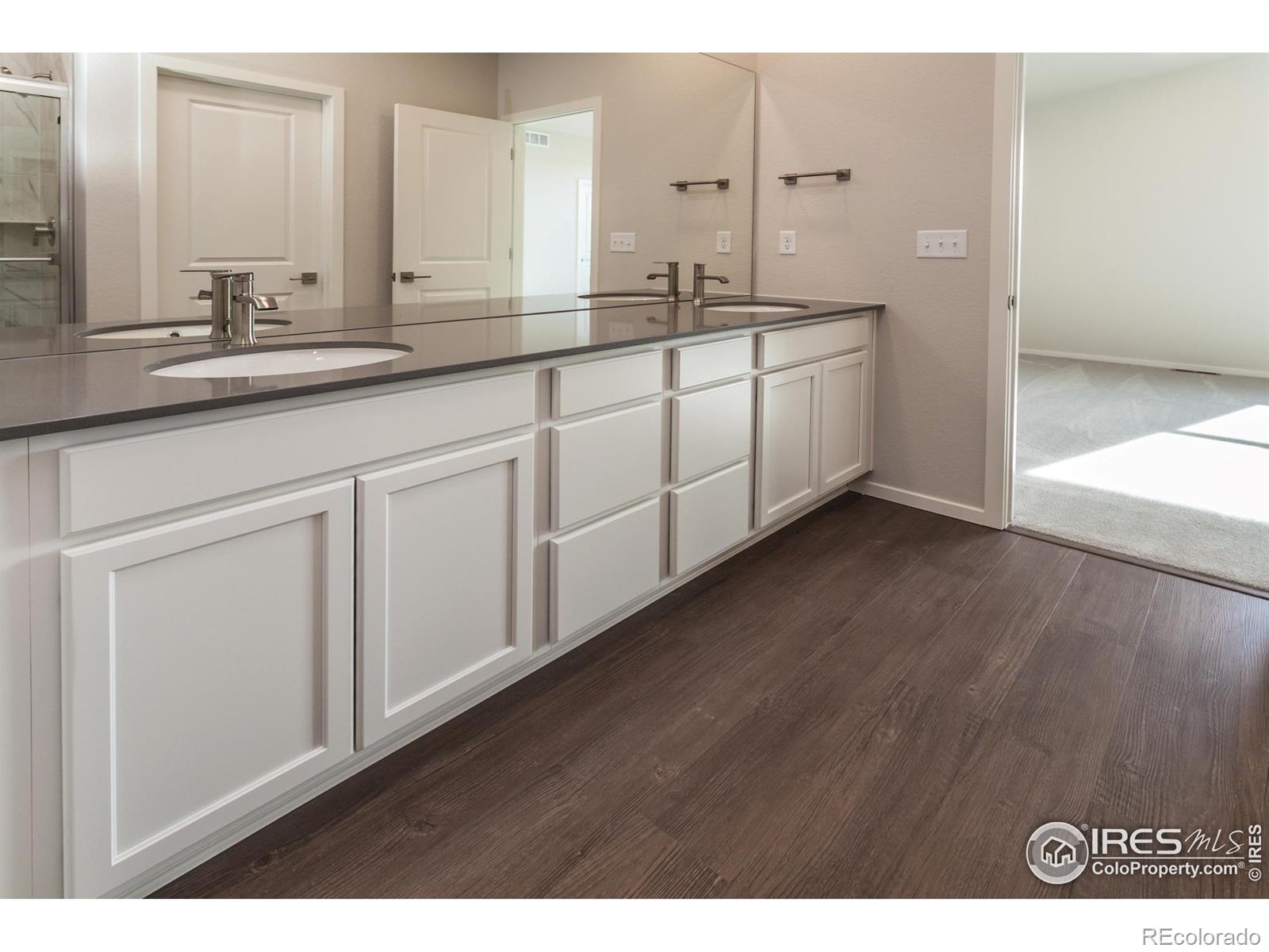 MLS Image #21 for 6039  red barn road,timnath, Colorado