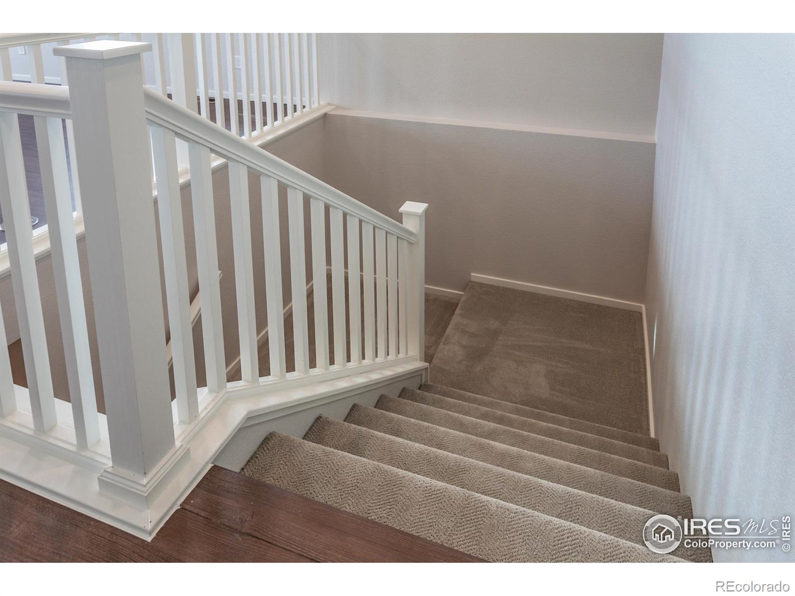 MLS Image #26 for 6039  red barn road,timnath, Colorado