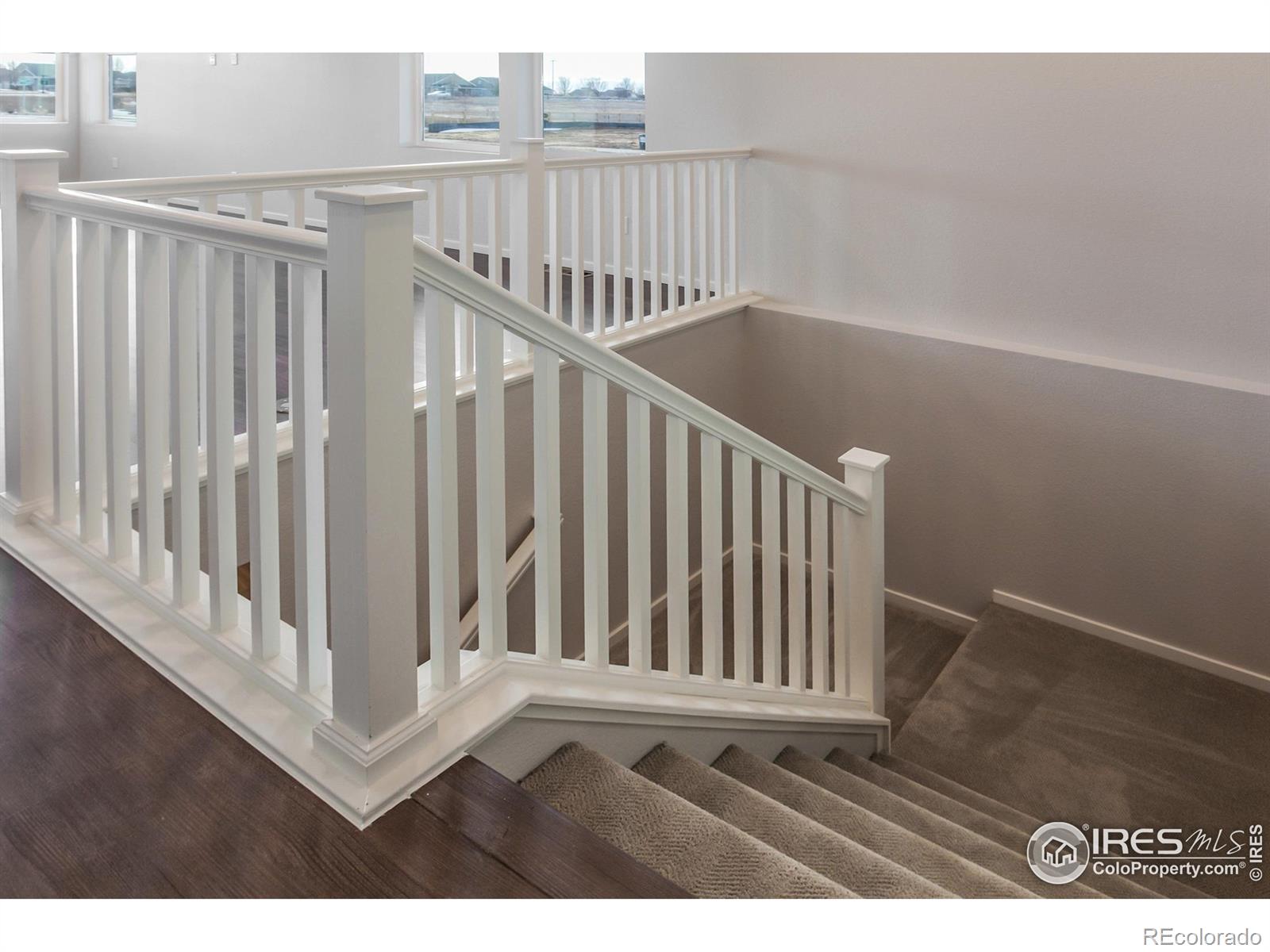 MLS Image #27 for 6039  red barn road,timnath, Colorado
