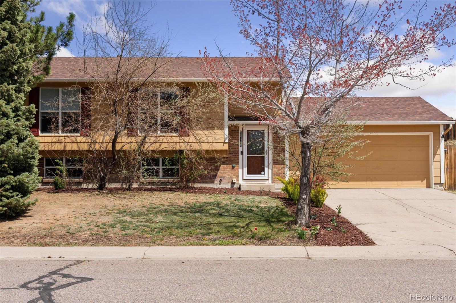 MLS Image #25 for 11338  donley drive,parker, Colorado
