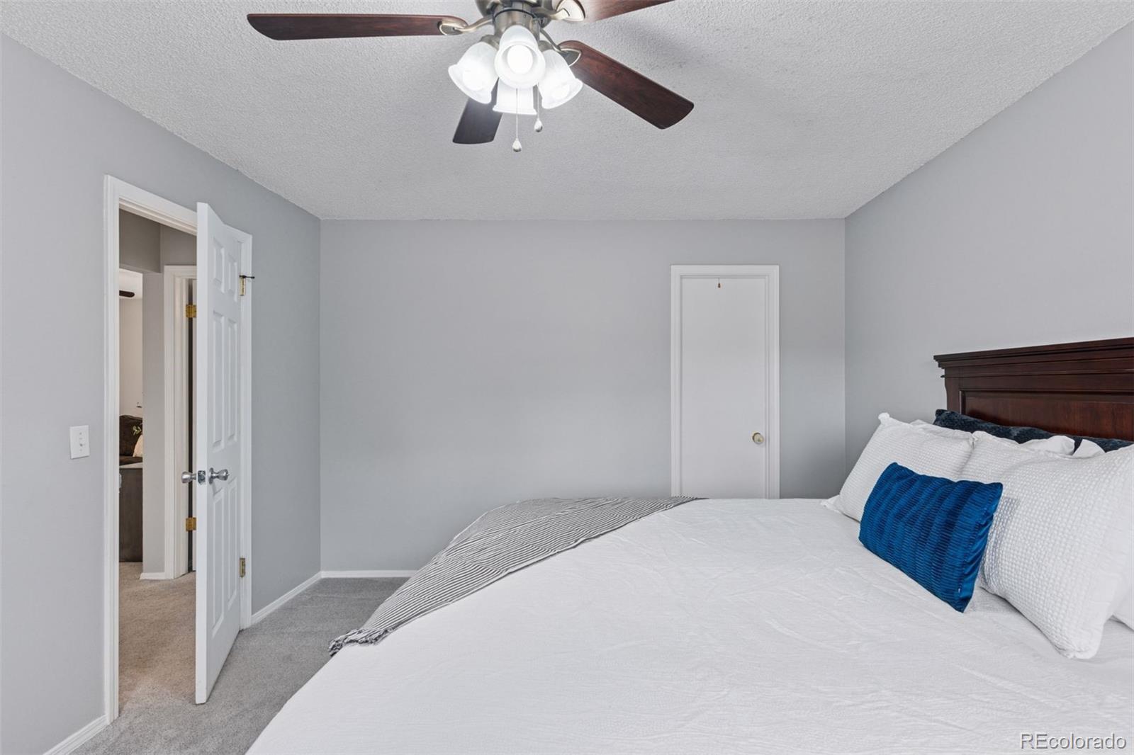 MLS Image #9 for 11338  donley drive,parker, Colorado