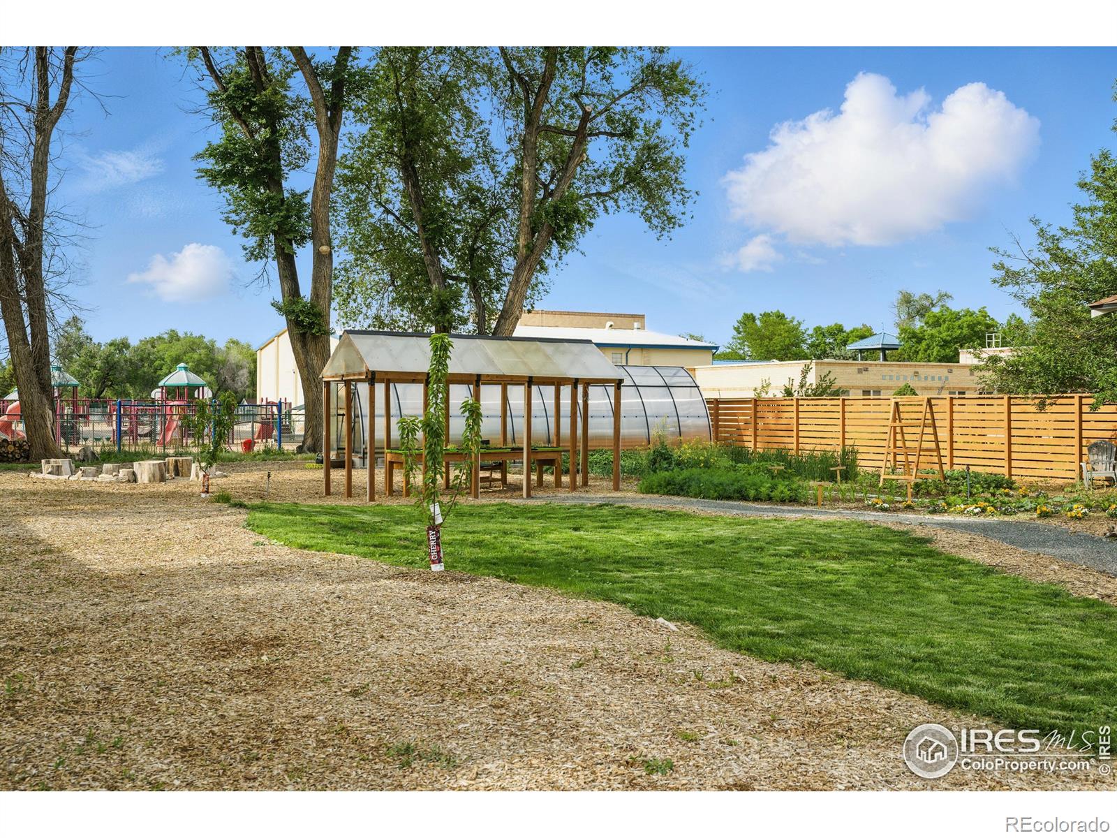 MLS Image #28 for 5008  5th avenue,timnath, Colorado