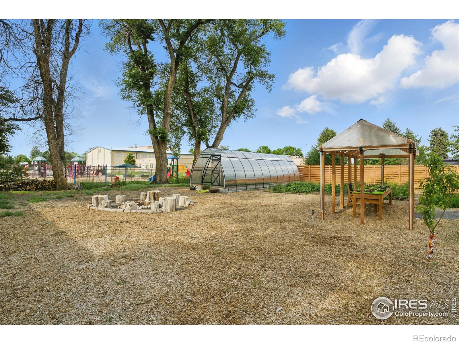 MLS Image #31 for 5008  5th avenue,timnath, Colorado