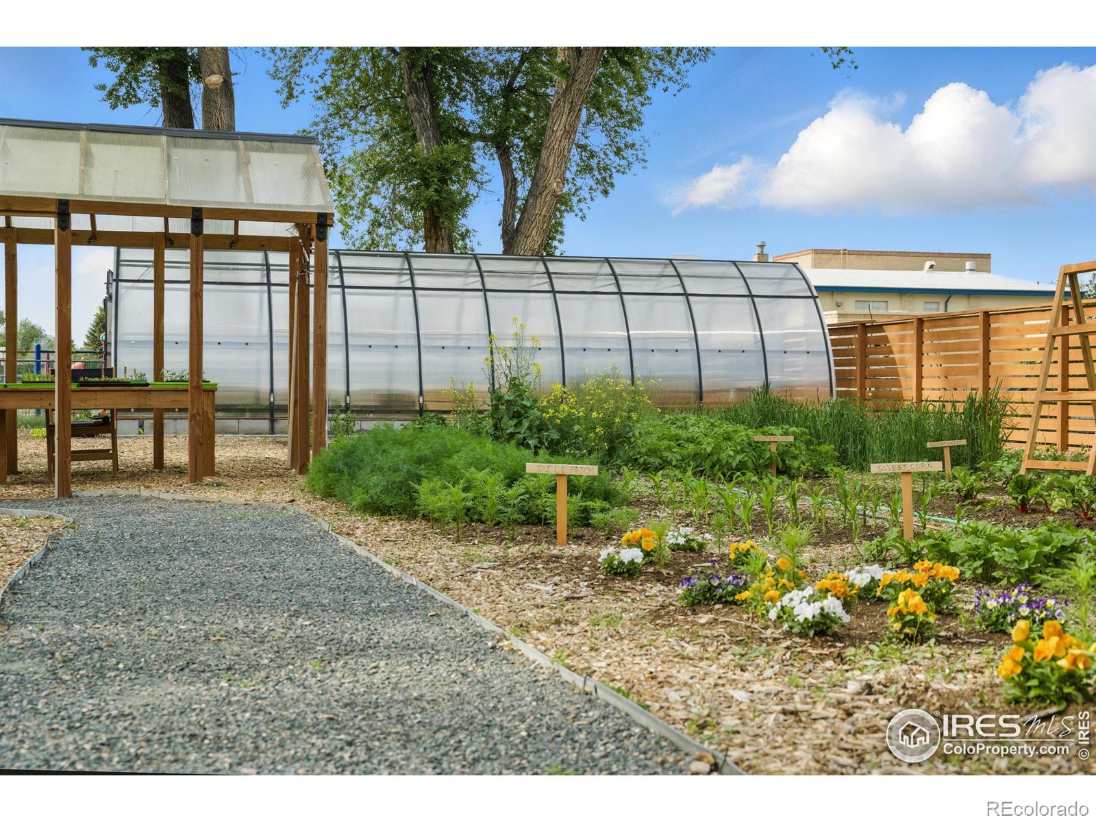MLS Image #5 for 5008  5th avenue,timnath, Colorado