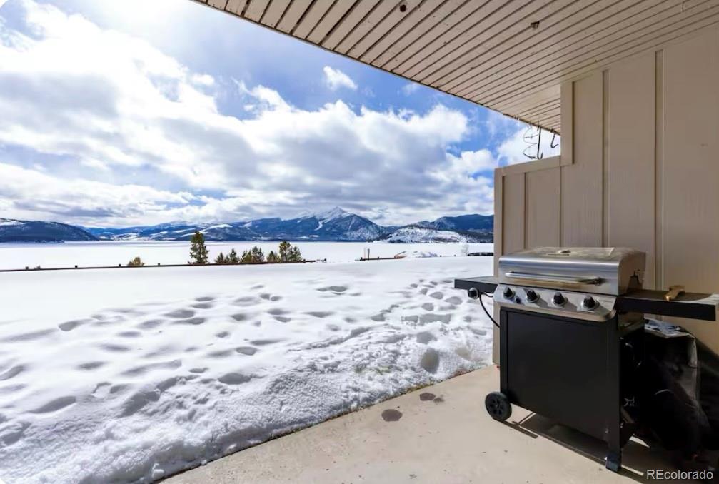 MLS Image #9 for 311 w la bonte street,dillon, Colorado