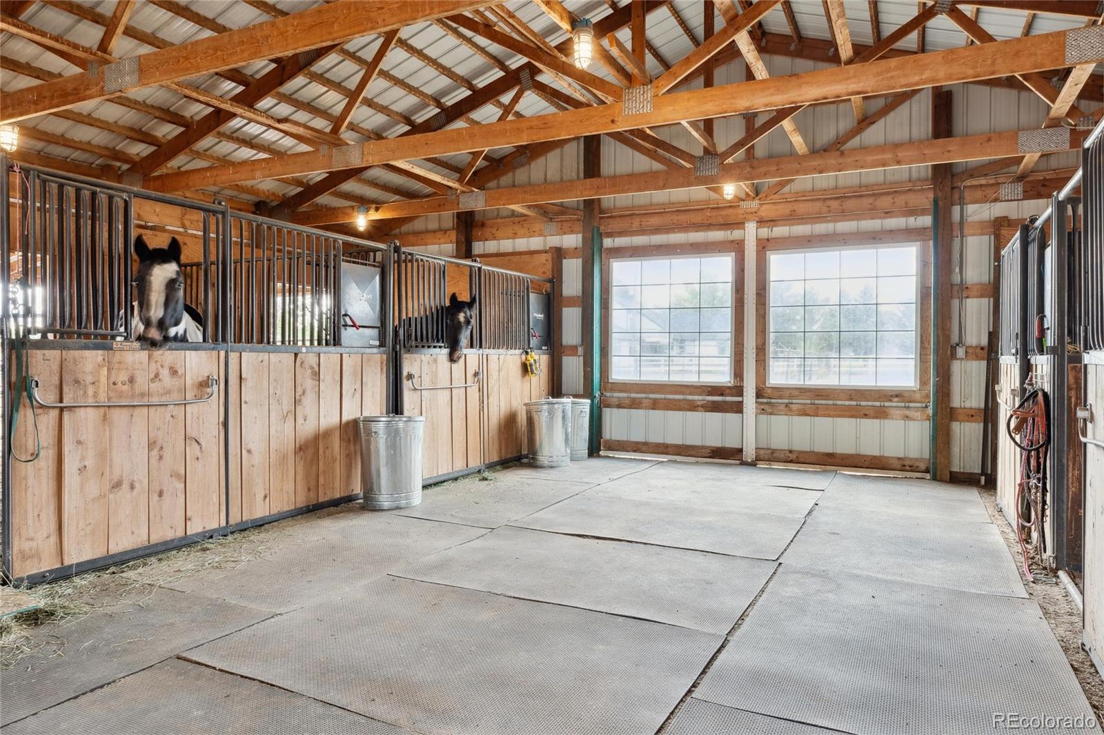 MLS Image #20 for 12901  2nd street,parker, Colorado