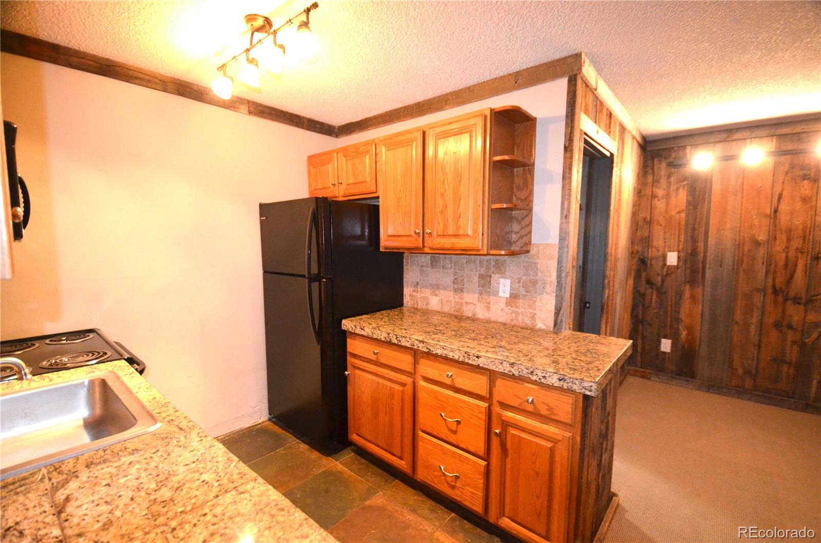 MLS Image #5 for 107  peaks view court,blue river, Colorado