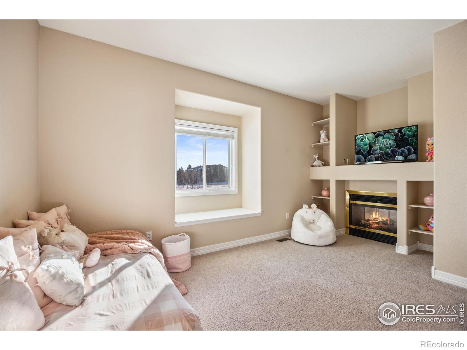 MLS Image #19 for 803  roma valley drive,fort collins, Colorado