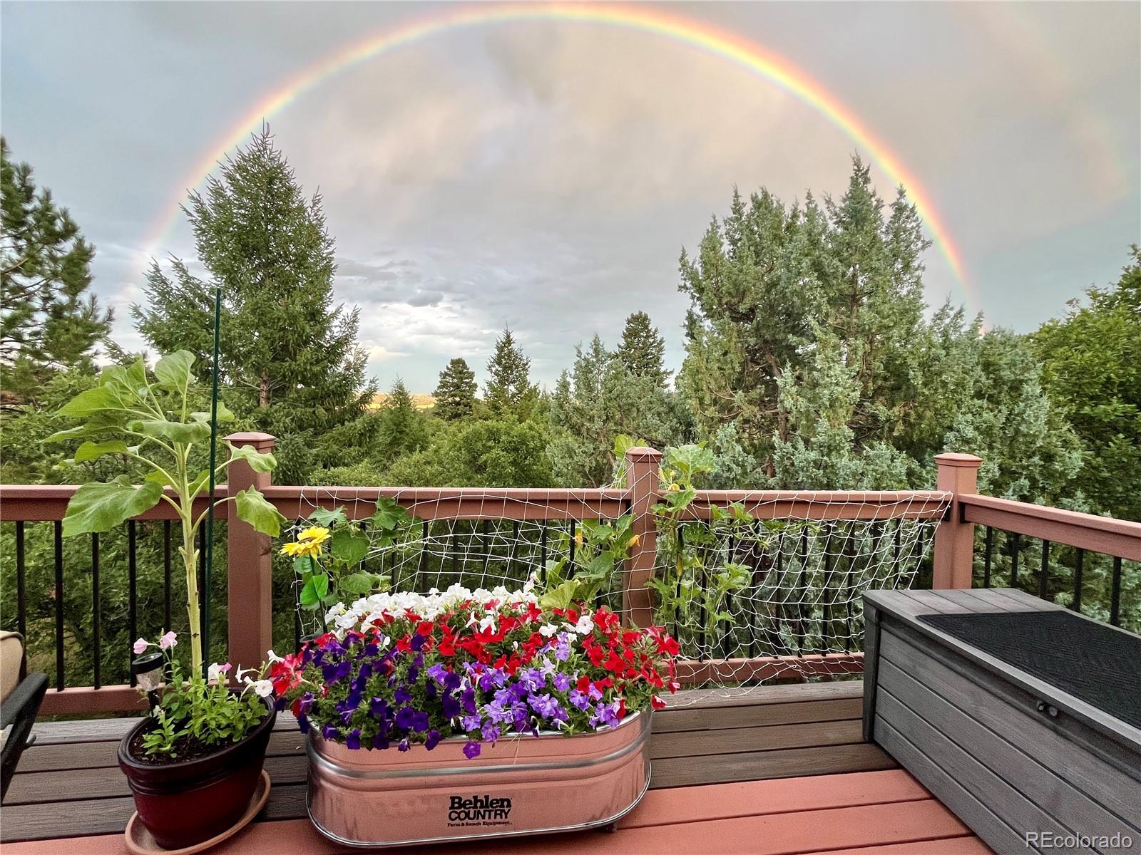 MLS Image #20 for 6584  pike circle,larkspur, Colorado