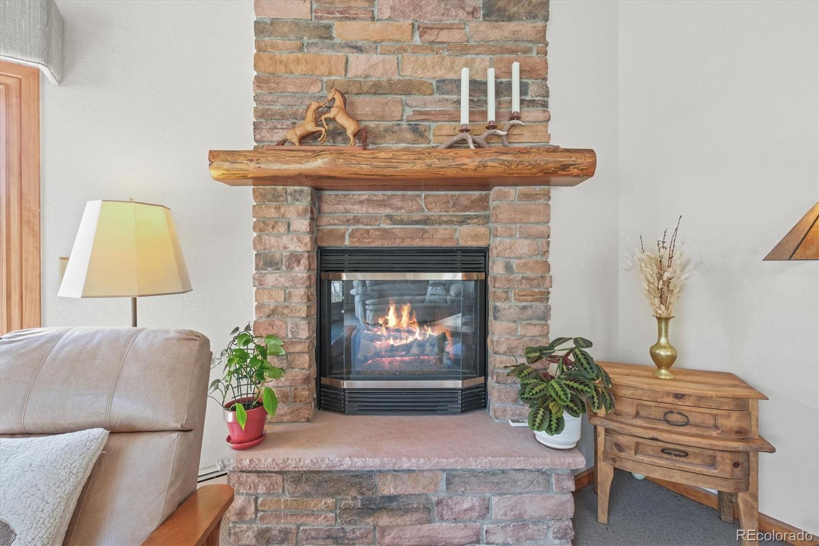 MLS Image #6 for 6584  pike circle,larkspur, Colorado
