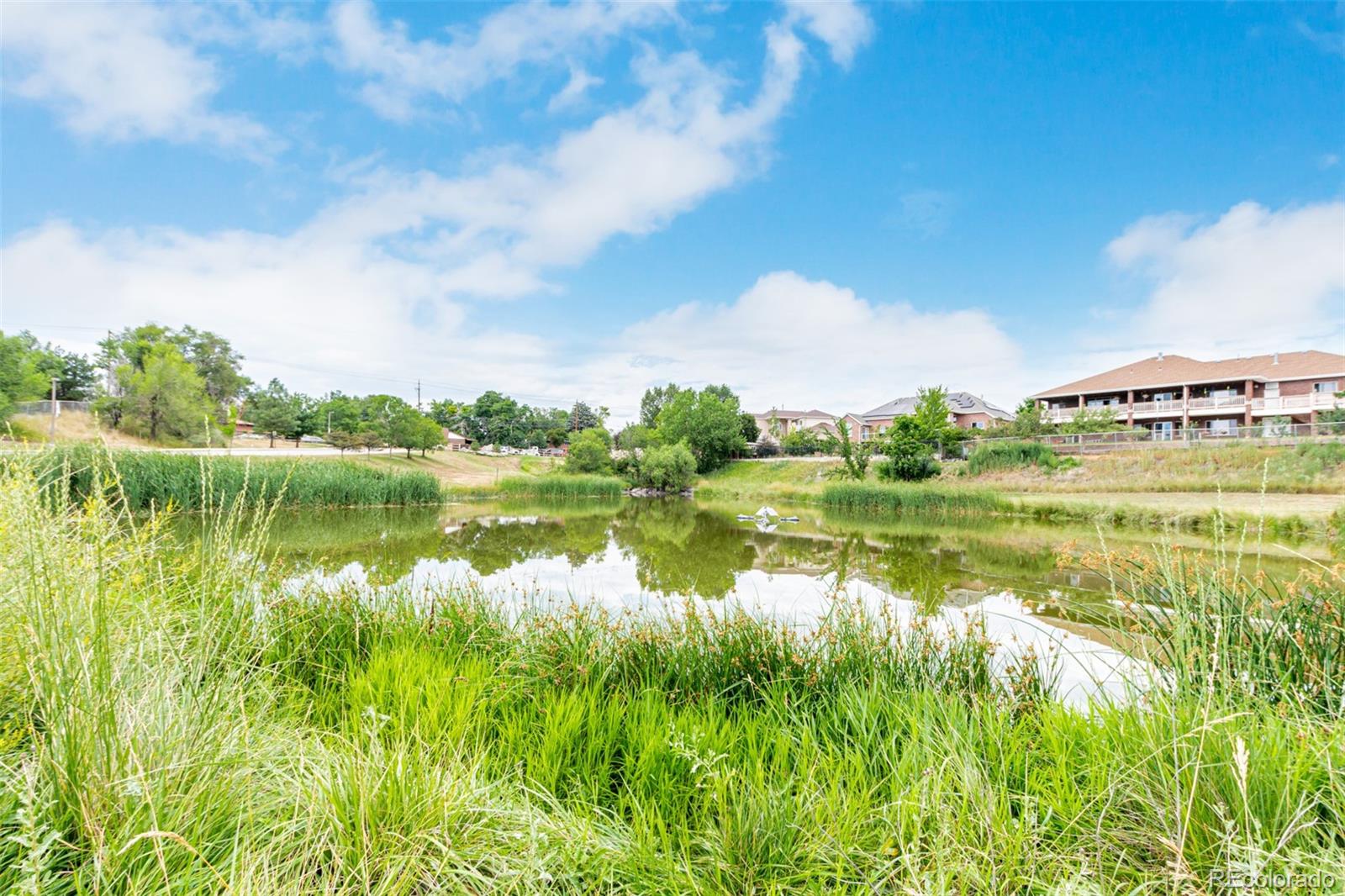 MLS Image #46 for 1641  orchard drive,denver, Colorado