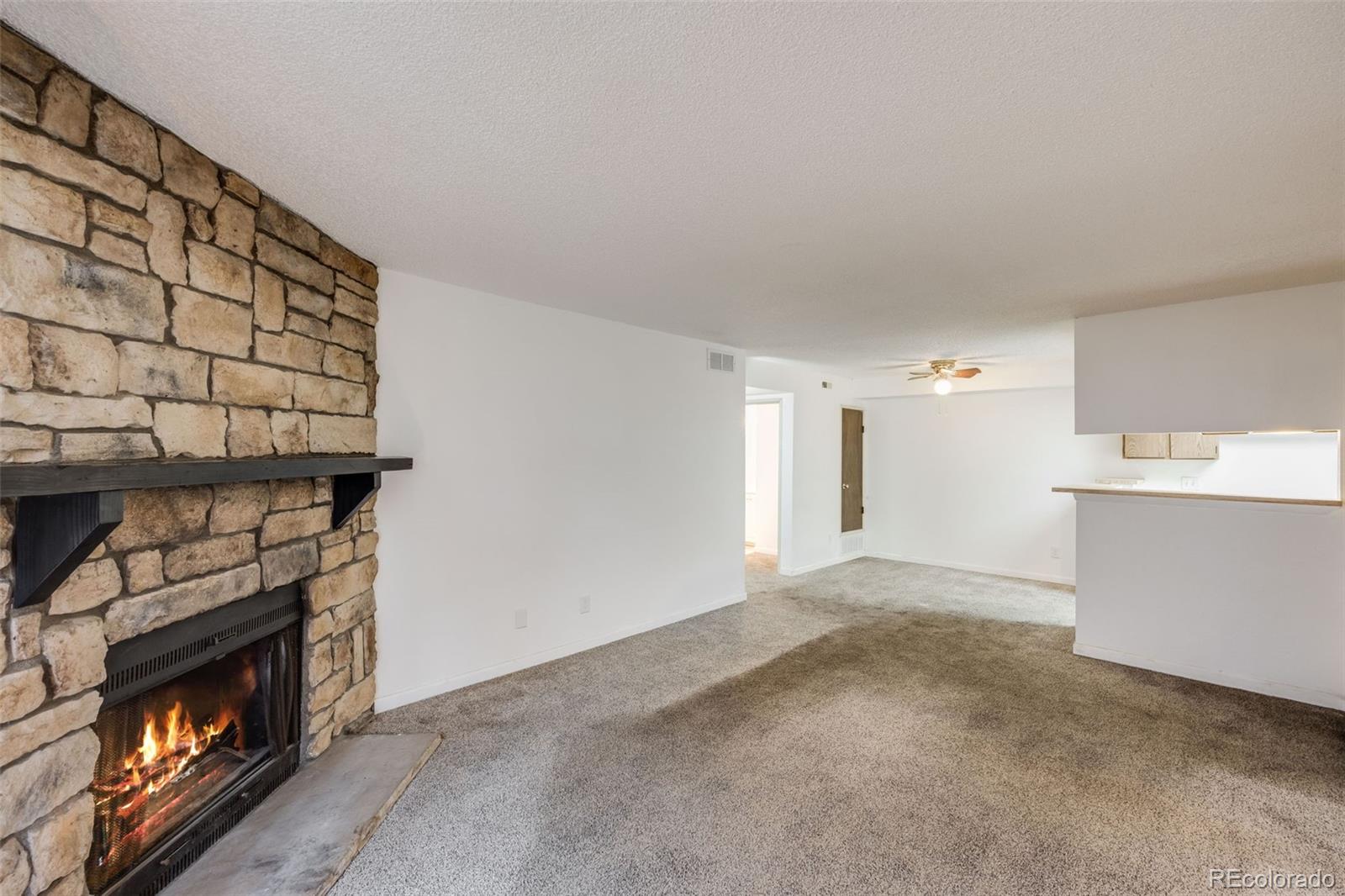 MLS Image #6 for 14192 e colorado drive,aurora, Colorado