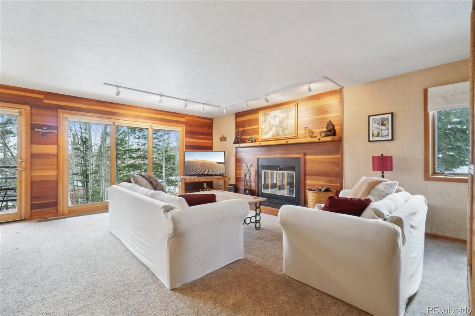 MLS Image #0 for 91300  ryan gulch road,silverthorne, Colorado