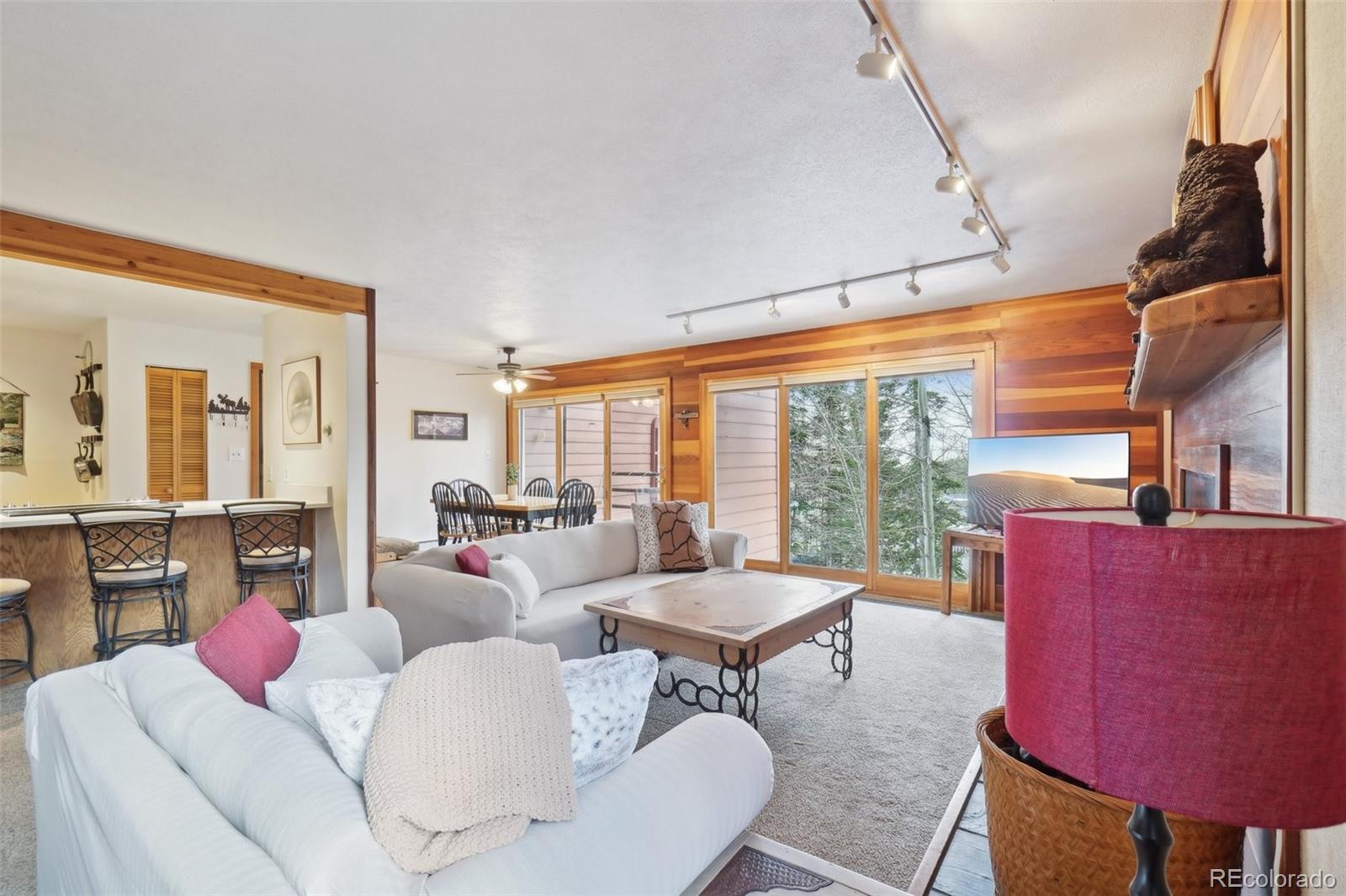MLS Image #1 for 91300  ryan gulch road,silverthorne, Colorado