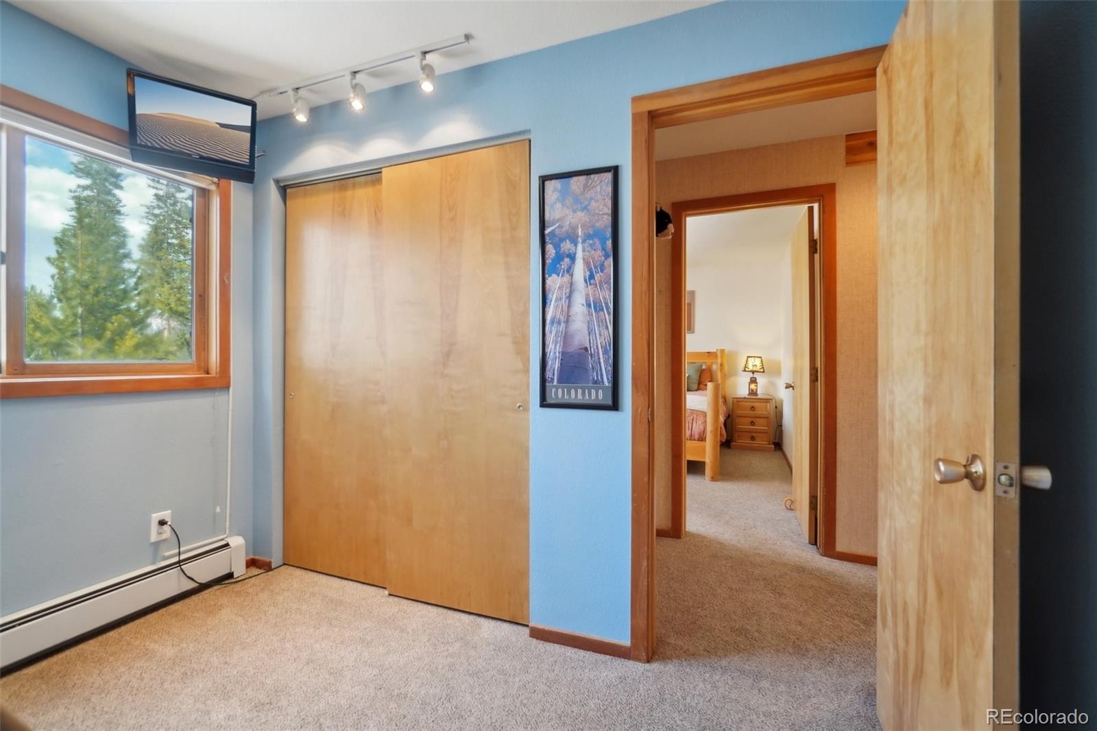 MLS Image #16 for 91300  ryan gulch road,silverthorne, Colorado