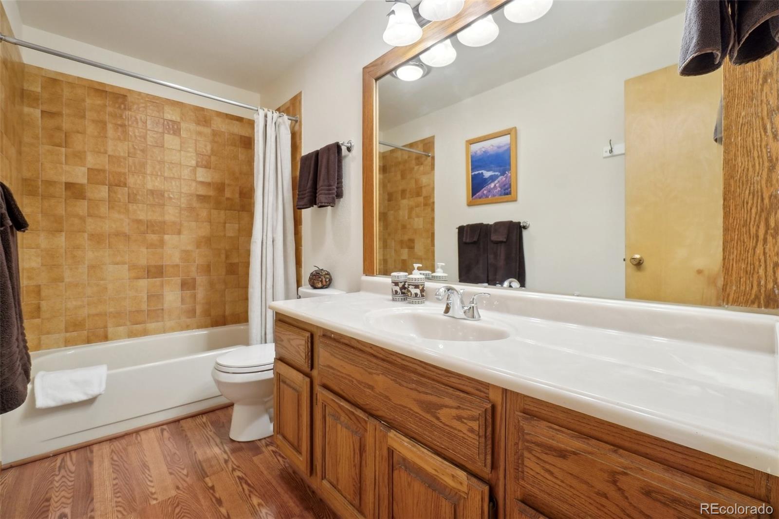 MLS Image #17 for 91300  ryan gulch road,silverthorne, Colorado