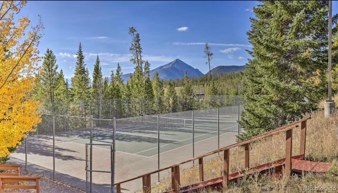 MLS Image #25 for 91300  ryan gulch road,silverthorne, Colorado
