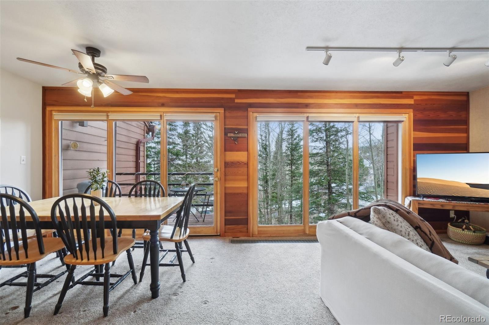 MLS Image #3 for 91300  ryan gulch road,silverthorne, Colorado