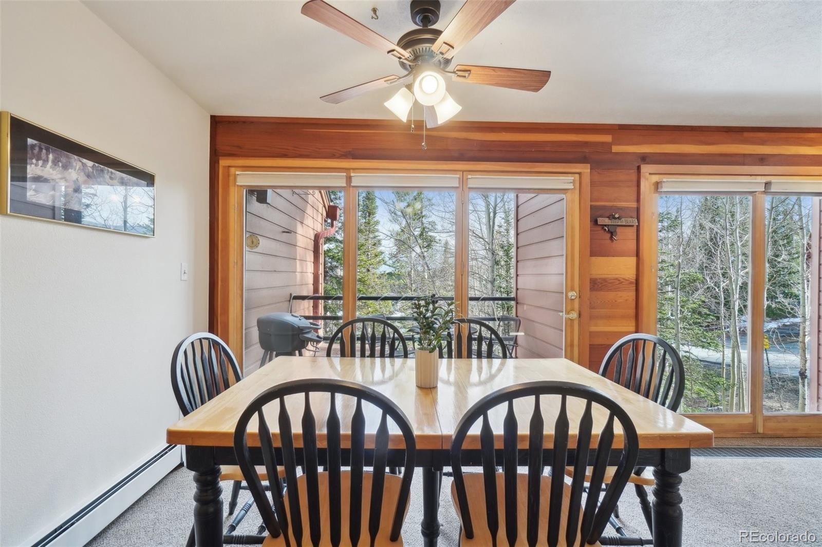 MLS Image #6 for 91300  ryan gulch road,silverthorne, Colorado