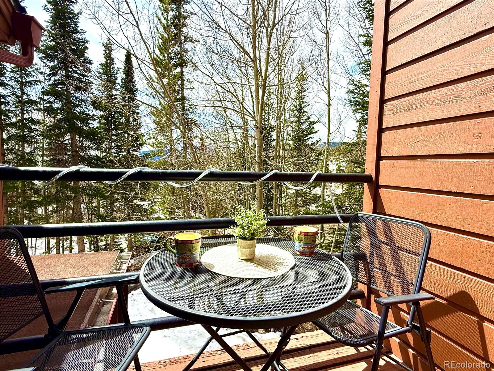 MLS Image #8 for 91300  ryan gulch road,silverthorne, Colorado