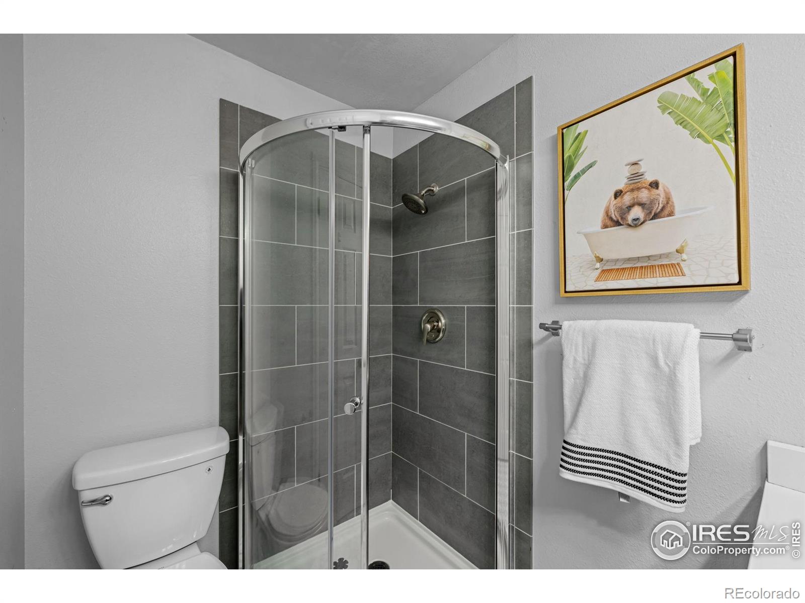 MLS Image #21 for 6844  countryside lane,niwot, Colorado