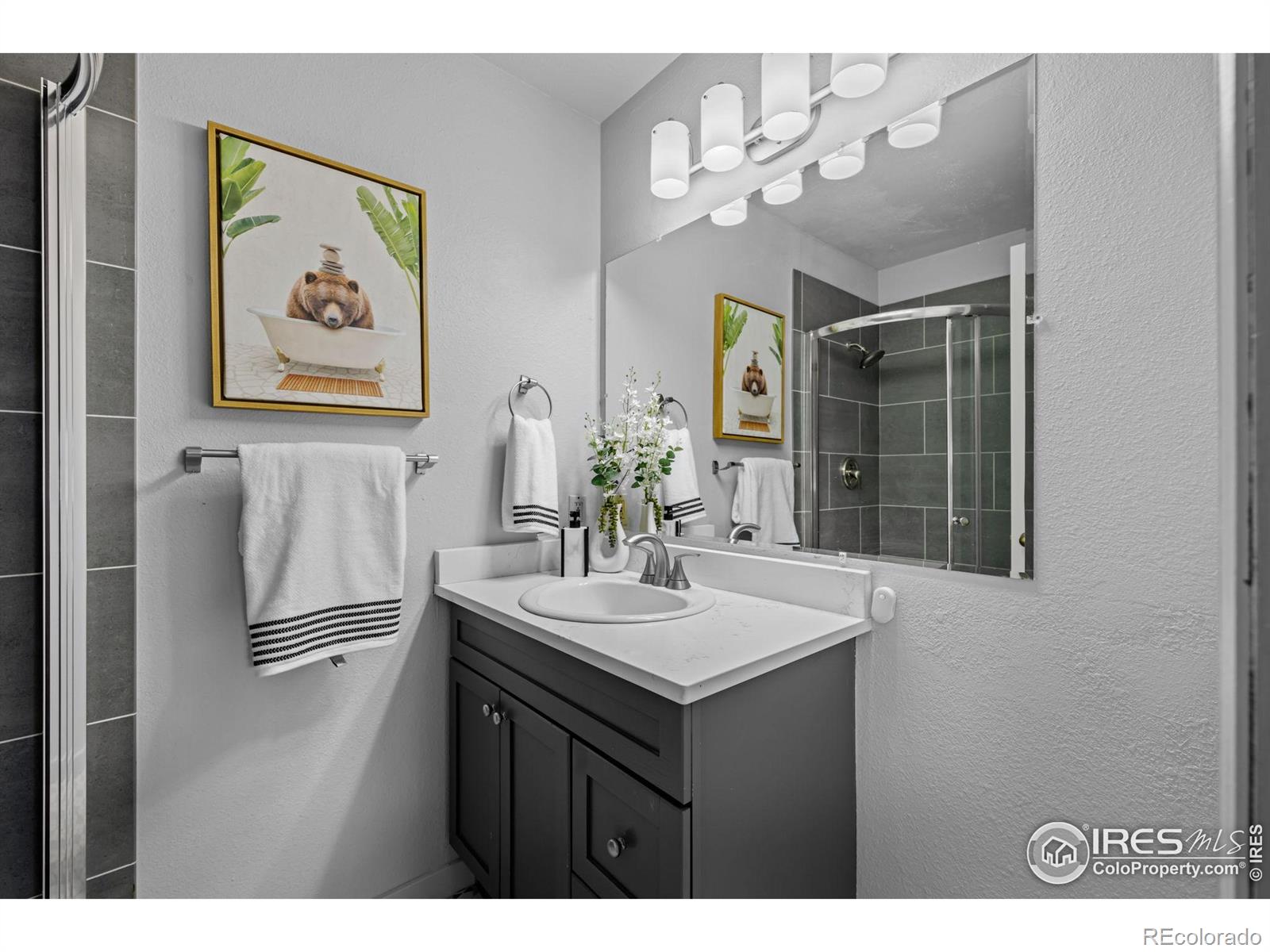 MLS Image #22 for 6844  countryside lane,niwot, Colorado