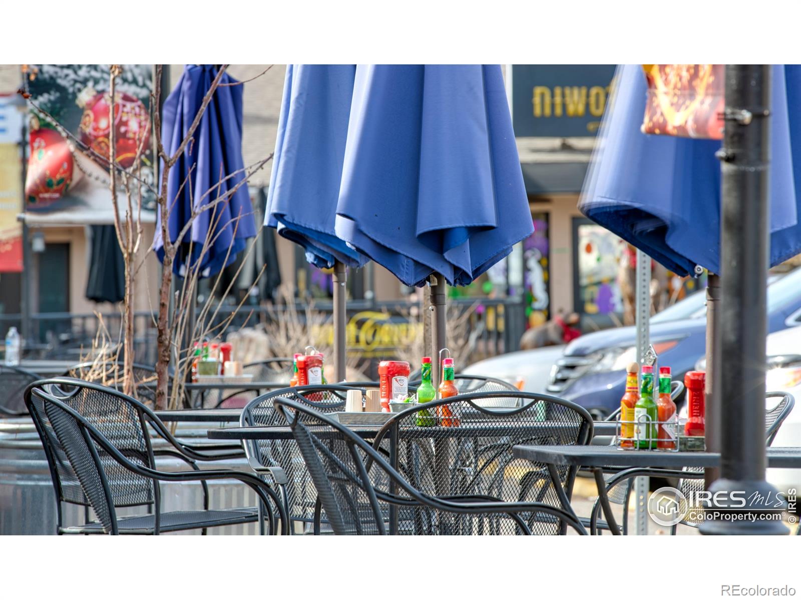 MLS Image #30 for 6844  countryside lane,niwot, Colorado
