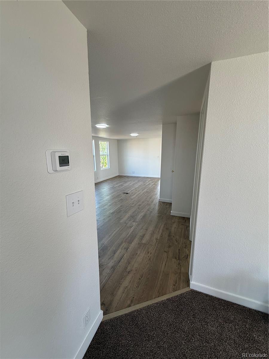 MLS Image #28 for 9036  mandel street,denver, Colorado